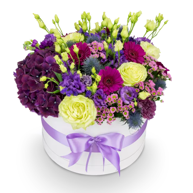 Box fialových květin